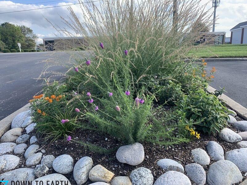 designing landscape by using odd numbers